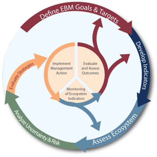 IEA process from goal setting to assessment to strategy evaluation with feedbacks