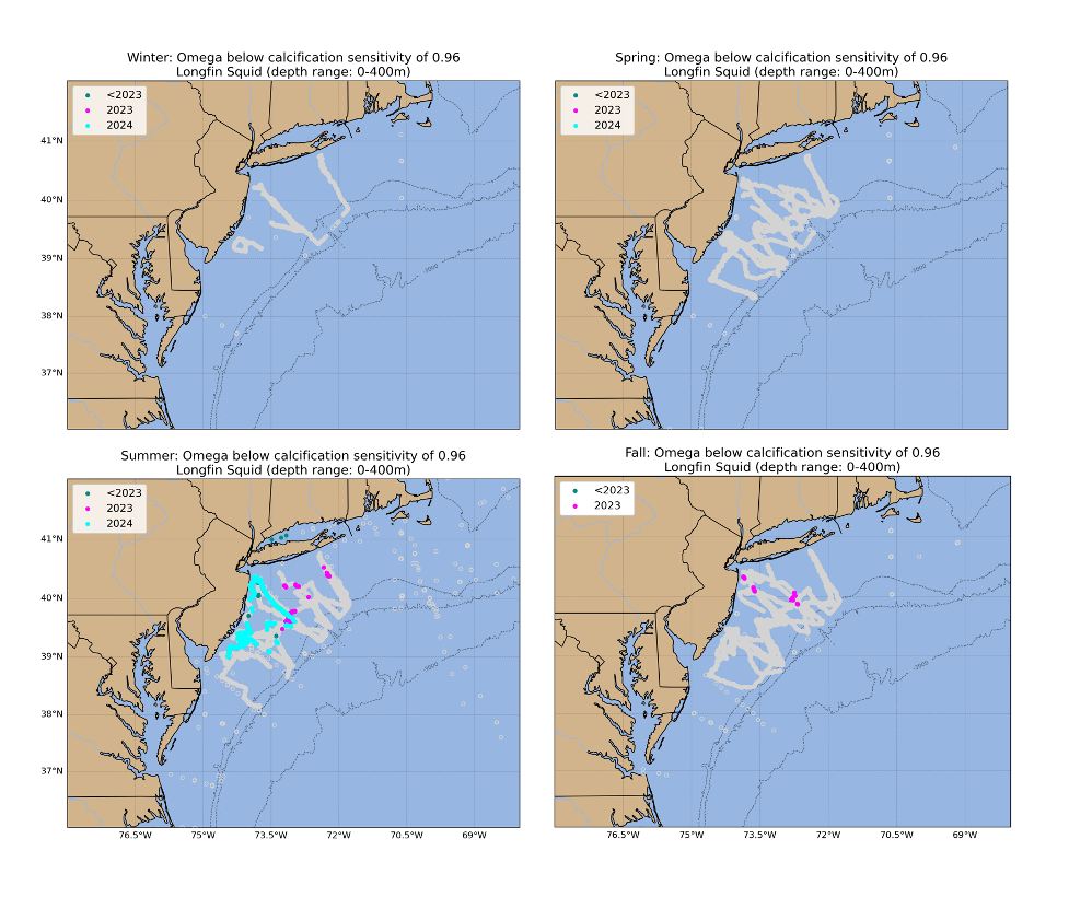 Locations where bottom aragonite saturation state ($\Omega_{Arag}$; summer only: June-August) were at or below the laboratory-derived sensitivity level for Atlantic sea scallop (left panel) and longfin squid (right panel) for the time periods 2007-2022 (dark cyan), 2023 only (magenta) and 2024 only (cyan). Gray circles indicate locations where bottom $\Omega_{Arag}$ values were above the species specific sensitivity values.